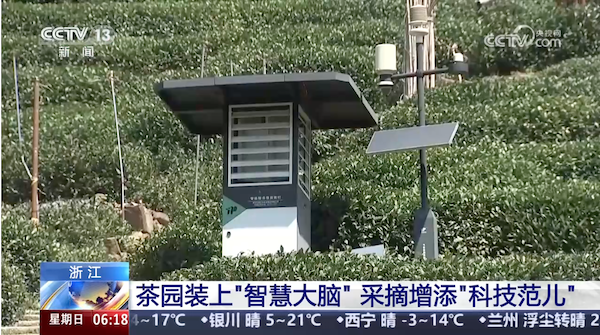 央視、人民網(wǎng)等權(quán)威媒體聚焦西湖龍井：托普云農(nóng)“黑科技”點亮千年茶香智變之路