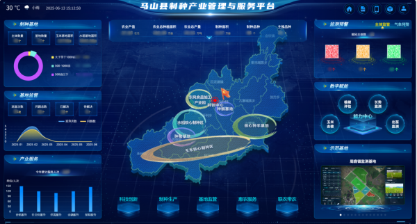 AI+農(nóng)業(yè) | 當(dāng)種子植入“數(shù)智芯片”，馬山縣打造制種基地新標(biāo)桿